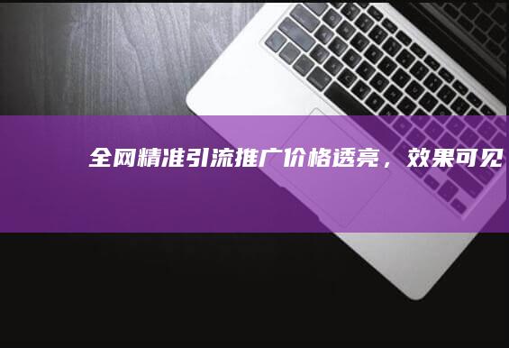 全网精准引流推广：价格透亮，效果可见